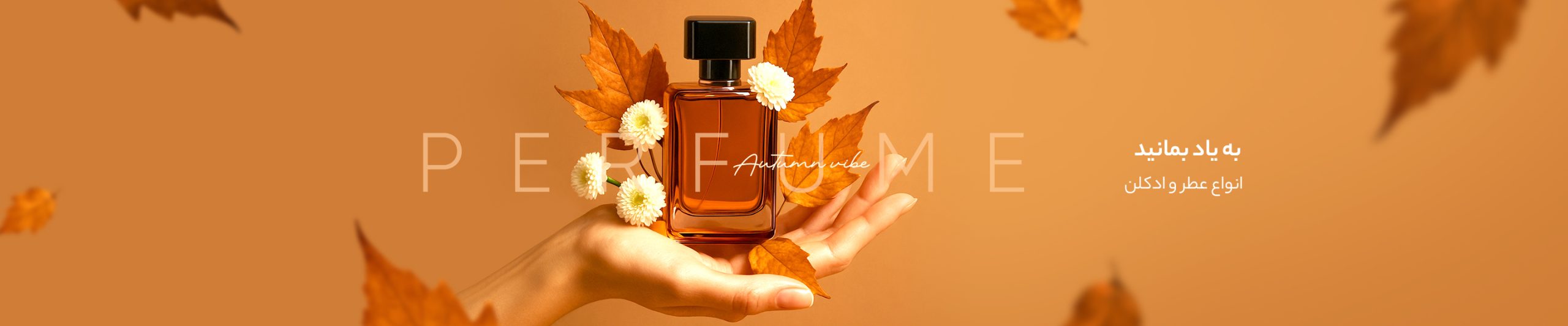 019c0bd6ac0a68c0b99225606561972d5d168e5f_1761477497 (1)